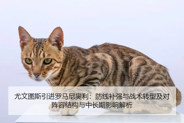 you-wen-tu-si-yin-jin-luo-ma-ni-ao-li-fang-xian-bu-qiang-yu-zhan-shu-zhuan-xing-ji-dui-zhen-rong-jie-gou-yu-zhong-chang-2-143.jpg
